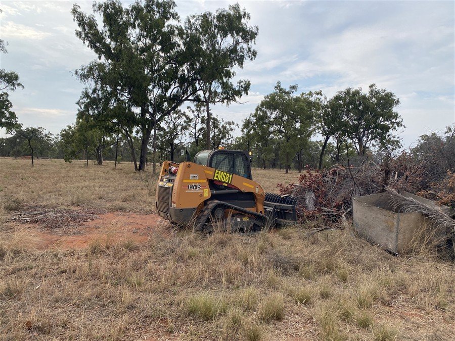 Vegetation Management